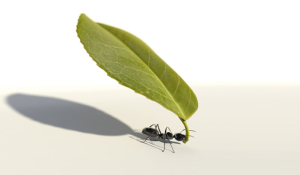 The Power of Small Changes